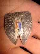 20150819_205508.jpg