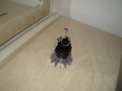 DSC08163.jpg