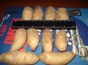 DSC02767.jpg
