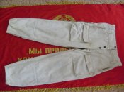 S6301788.jpg