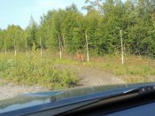 DSCN0143.jpg