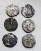 DSCN5257.jpg