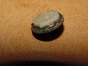 DSC08638.JPG