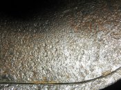 IMG_5169.jpg