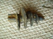 IMG_0032.JPG