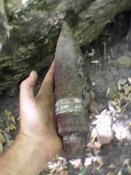 DSC_0000175.jpg