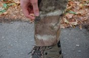 DSC_8667.JPG