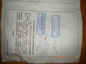 IMGP1992.jpg