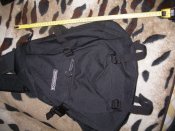 IMGP0310.JPG