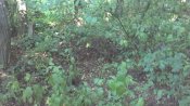 IMG_20150823_165954_436.jpg