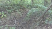 IMG_20150823_175934_561.jpg