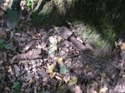 IMG_7864.JPG