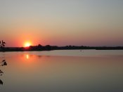 IMG_4524.JPG