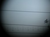 IMG_5276.JPG