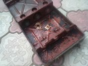 17082010045_1.jpg