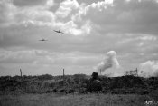 DSC_6990.jpg