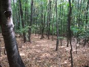 20150826_155612.jpg
