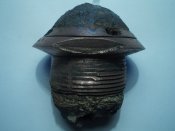 22-2 005.jpg