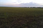 IMAG0290.jpg