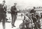 Brandenburg_para_2.jpg
