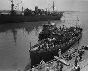 POWU-352A1.jpg
