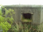 23052009071.jpg