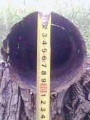 IMG0580A.jpg