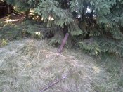20150828_084905.jpg
