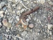 DSCF6061.JPG