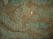 DSC02145.JPG