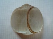 DSC05224.JPG