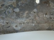 DSC04046.JPG