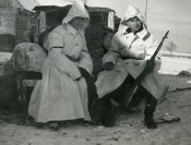 wt4.jpg