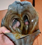 DSC_4254.JPG