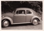 VW-Kafer 5.JPG