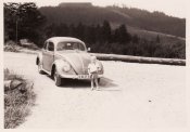 VW-Kafer 6.JPG
