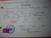 DSC09319.jpg