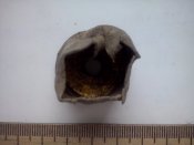CAM01165.jpg