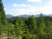 IMG_2381.jpg