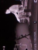 IMG_20150907_041038_0.jpg