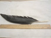 IMG_7177.jpg