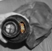 DSC_4252.ed.jpg