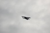 DSC_0472.JPG