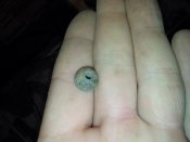 20150911_200751.jpg