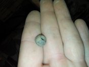 20150911_200754.jpg