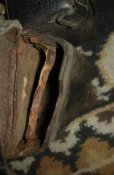 DSC02310.JPG