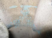 IMG_1161.JPG