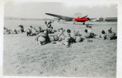 Airplane Wappen.JPG