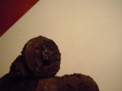 DSCN7602.jpg