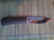 20150728_163942.jpg